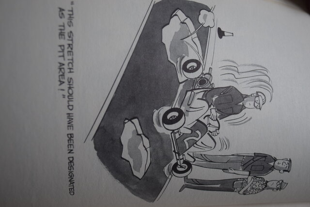 DSC_0008 - Copy (2).JPG